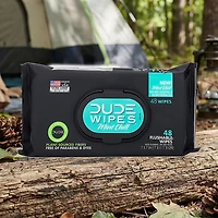 DUDE Wipes Mint Chill Flushable Wipes
