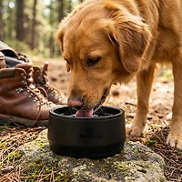 Stanley 24 oz Pet Bowl