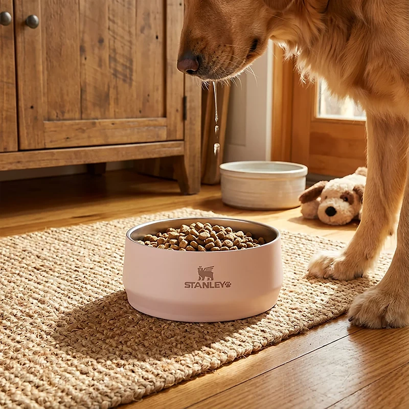 Stanley 24 oz Pet Bowl