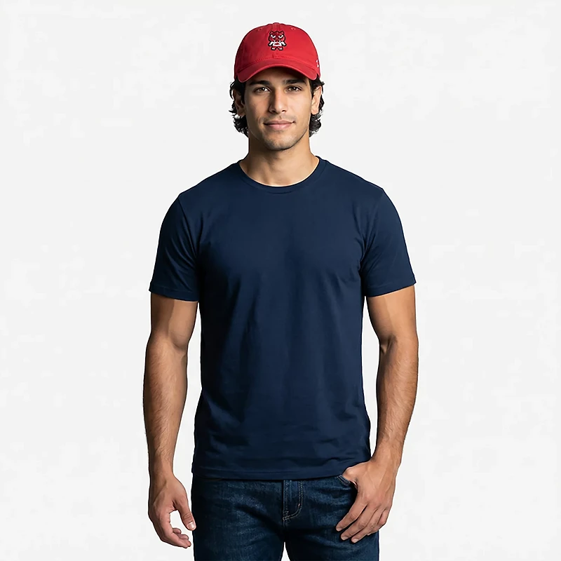 Zephyr Men's University of Arkansas Sibuya Scholarship Relaxed Cap