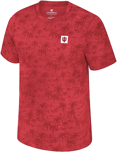 Colosseum Athletics Men's Indiana University Fremen Palm Graphic T-shirt
