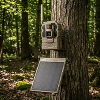 Reveal by Tactacam Pro 3.0 Cellular Trail Camera Bundle