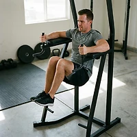 CAP VKR Bodyweight Training Power Tower