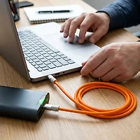 Celltronix Titanium 6 ft. C To C Cable