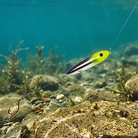 Whisker Seeker Rigged Catfish Spook