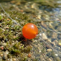 Troutbeads Original 30-Pack