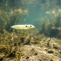 Eagle Claw Cat Santee Rig with Quicklink Snap