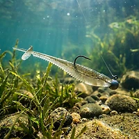 Rapala Crush City Mooch Minnow Unrigged Plastic Swim Baits -Pack