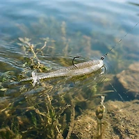 Rapala Crush City Mooch Minnow Unrigged Plastic Swim Baits 5-Pack