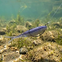 Yamamoto Hinge Minnow 5 Baits 6-Pack