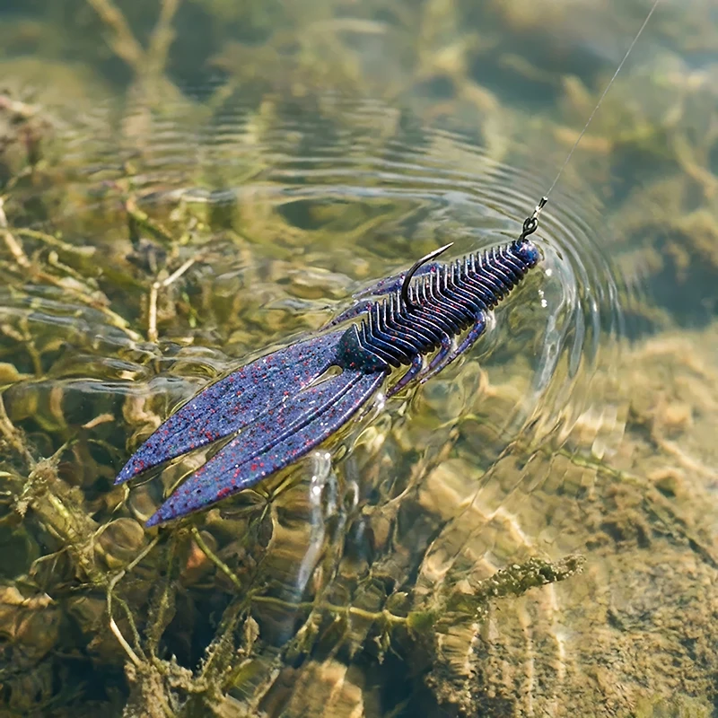 6th Sense Lures Bodega 6-Pack