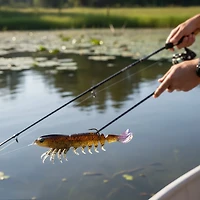 Prawnstarz Loose Body