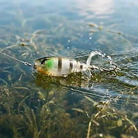 Bill Lewis Lures Baby Bubbler 2 Bait