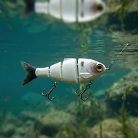 Mike Bucca Lil Baby 2-1/2 in. Bull Shad Swimbait