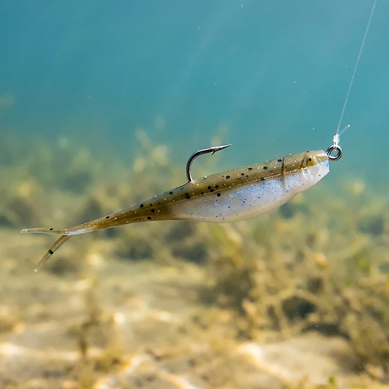 Strike King 3X Z-Too Jerk Bait -Pack