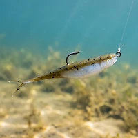 Strike King 3X Z-Too Jerk Bait -Pack