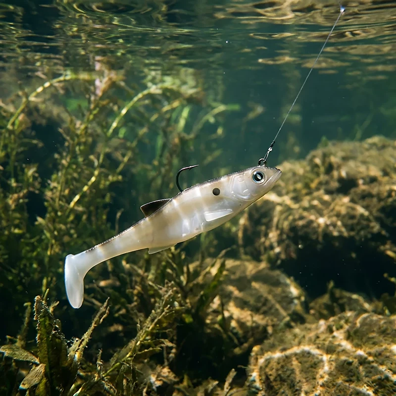 H20X Line Through 6 Deep Swimbait