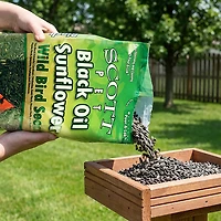 Scott Pet 6 lb. Black Oil Sunflower Wild Bird Seed