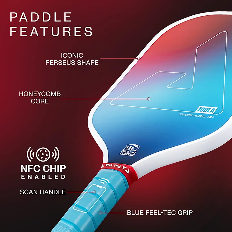 JOOLA Perseus Astral Pickleball Set