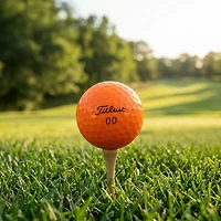 Titleist 2026 Velocity Golf Balls 12-Pack