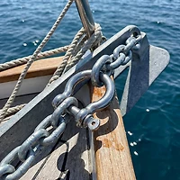Marine Raider 5/16" Stainless-Steel Shackle
