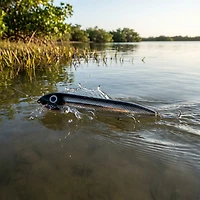 Heddon Super Spook 5" Topwater Bait