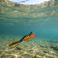 Arbogast Hula Popper 2" Lure
