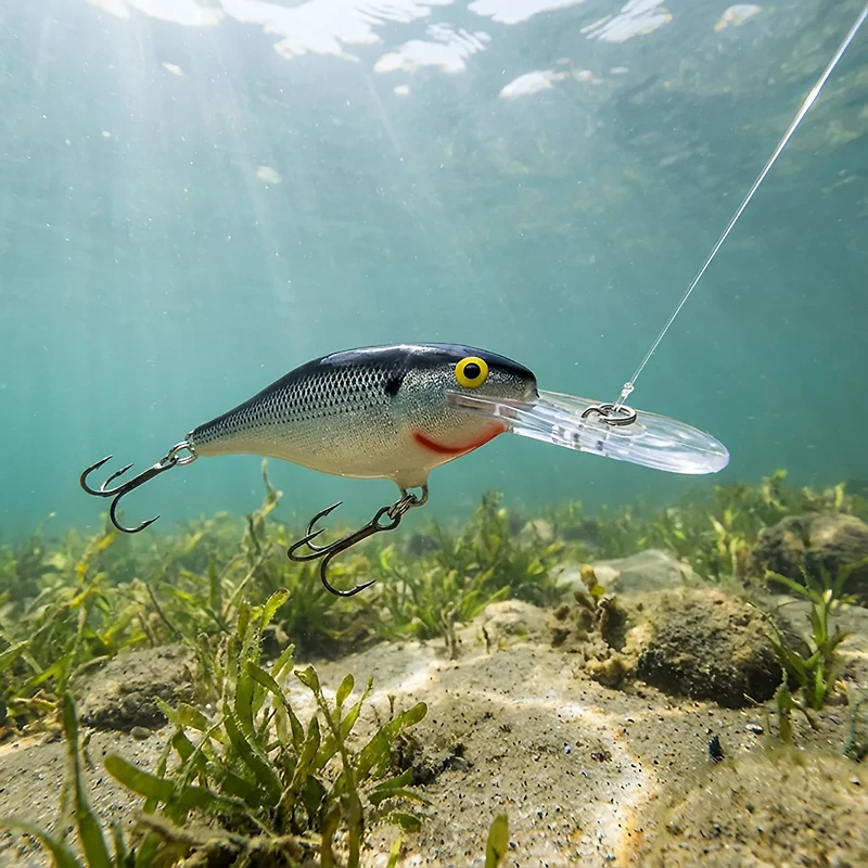Rapala® Shad Rap® 2-3/4" Crankbait