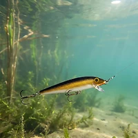 Rapala® Original Floater® 2-3/4" Lure