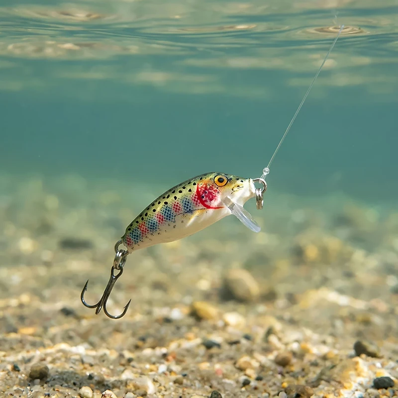 Rapala® Countdown® 1" Fishing Lure