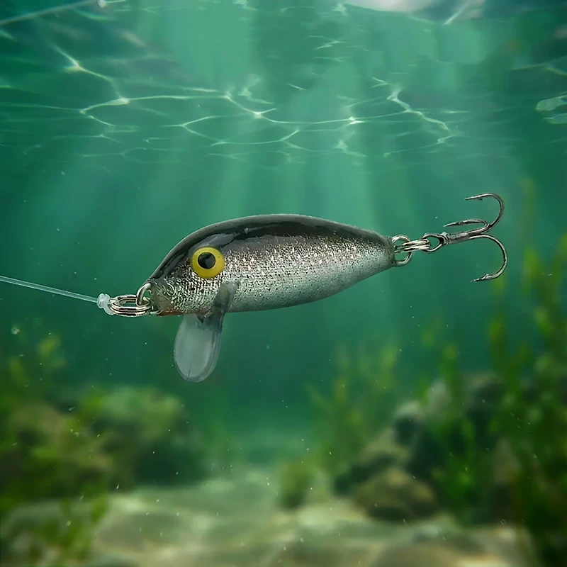 Rapala® Countdown® 1" Fishing Lure