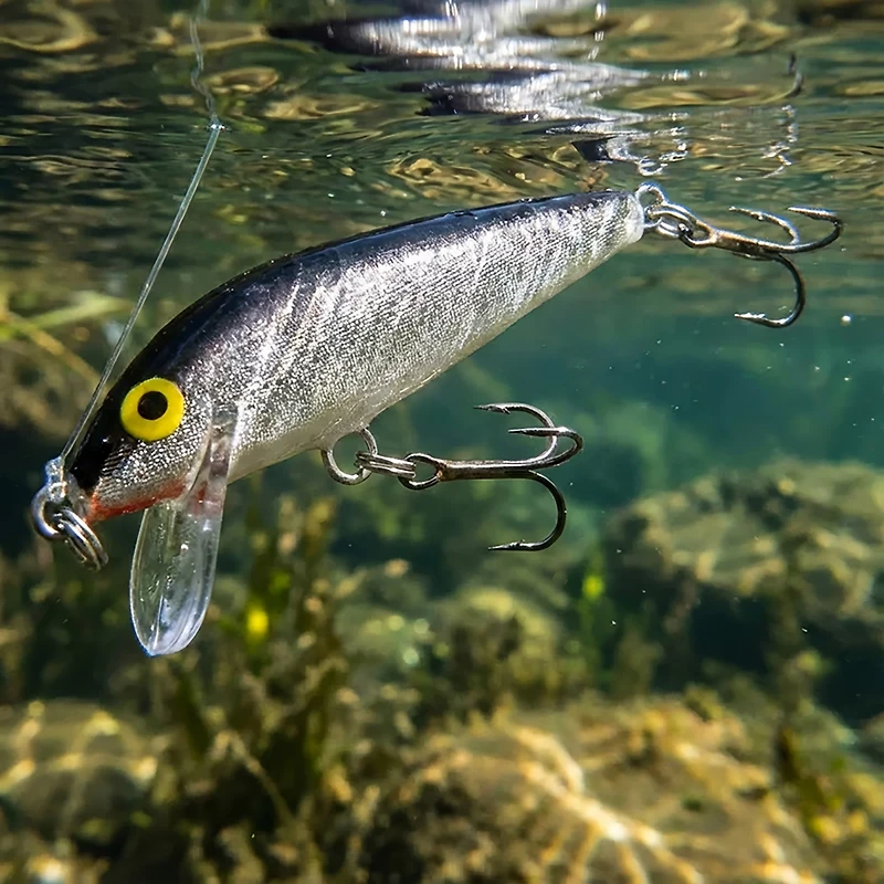 Rapala® CountDown® 2" Lure