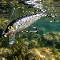 Rapala® CountDown® 2" Lure