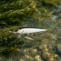 Rapala® CountDown® 2-3/4" Crankbait