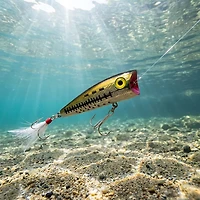 Rebel Pop R 2-1/2" Topwater Bait