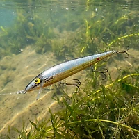 Smithwick® Rattlin' Rogue® 4-1/2" Jerk Bait