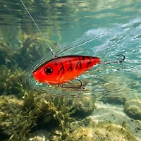 Strike King Red Eyed Shad 1/2 oz 3-D Lipless Crankbait