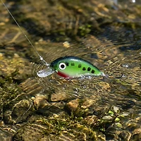 Strike King® Bitsy Minnow Ultra-light Crankbait