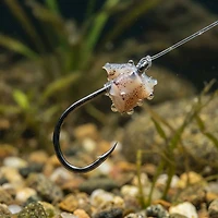 Owner SSW Bait Hooks with Cutting Point™