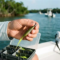 Bass Assassin Lures Saltwater Shad 5" Lure 8-Pack