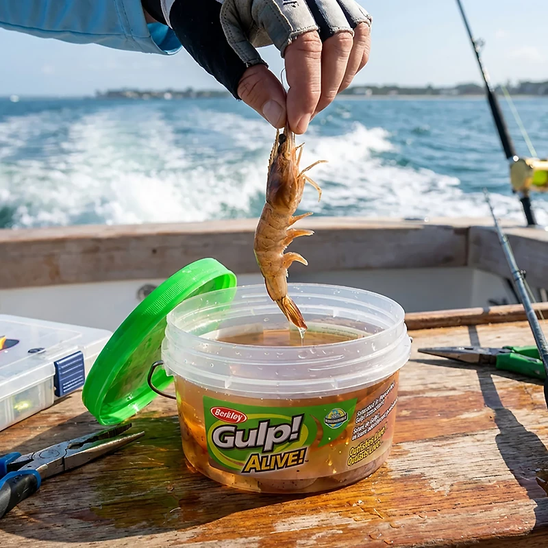 Berkley® Gulp!® Alive!™ 4" Shrimp Small Bucket