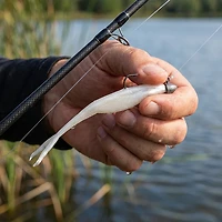 Zoom Super Fluke 5" Jerk Baits 10-Pack