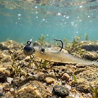 Berkley® 3" Power® Minnow Bait