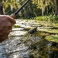SPRO Bronzeye 2-1/2" Topwater Frog Bait