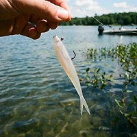 Zoom Tiny Fluke 3" Jerk Baits 20-Pack