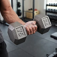 CAP Barbell 75 Lb. Solid Hex Dumbbell – Single