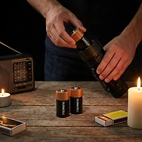 Duracell CopperTop D Alkaline Batteries 4-Pack