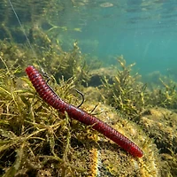 Zoom Magnum Finesse Worm Baits 10-Pack
