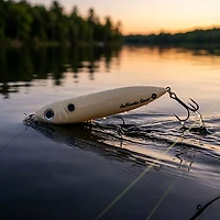 Heddon One Knocker® Spook® 4-1/2" Topwater Bait