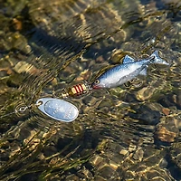 Mepps 1/6 oz Comet Mino In-Line Spinner